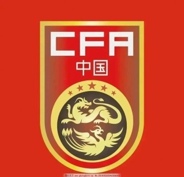 世界杯英雄执掌国足?邵佳一或成救世主,平民教头携德甲经验强势上位!