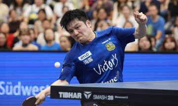 顶级运动员国内年薪80万,出国秒变450万税后,樊振东转会德甲引爆商业价值争议