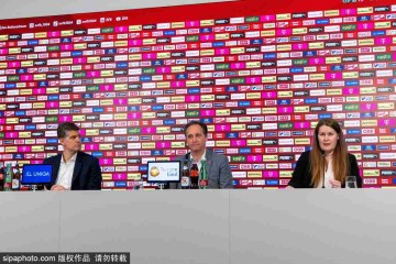 前沙尔克队长费尔曼宣布退役:37岁回顾德甲亚军之路,国家队梦未圆的背后故事!