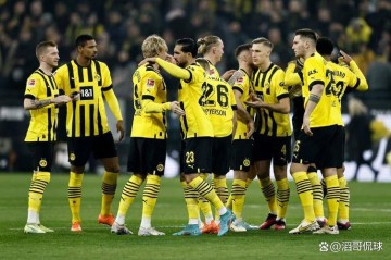 德甲联赛预测！拜仁多特蒙德胜券在握，勒沃库森霍芬海姆悬念大