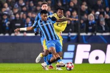 拜仁VS布鲁日:德甲霸主主场争冠,比甲劲旅客场寻爆冷