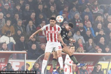 德甲争夺战白热化:霍芬海姆2-0不莱梅,莱比锡痛失良机,欧冠资格悬念重重