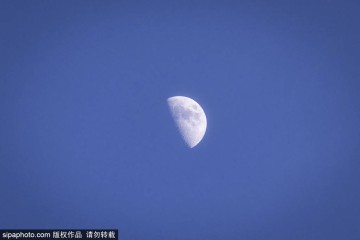 维尼修斯双响推迟巴塞罗那夺冠，西班牙人深陷保级泥潭：一场充满争议与精彩的西甲对决